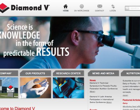 Diamond V Website